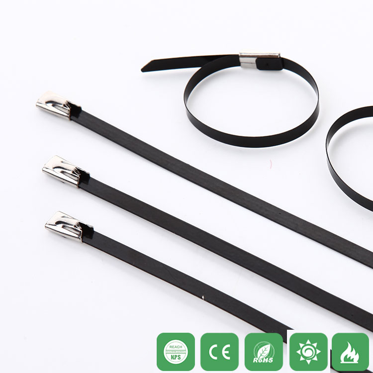 RCCN Cable Ties ML